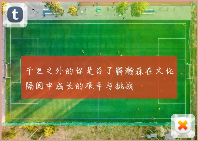 千里之外的你是否了解瀚森在文化隔阂中成长的艰辛与挑战