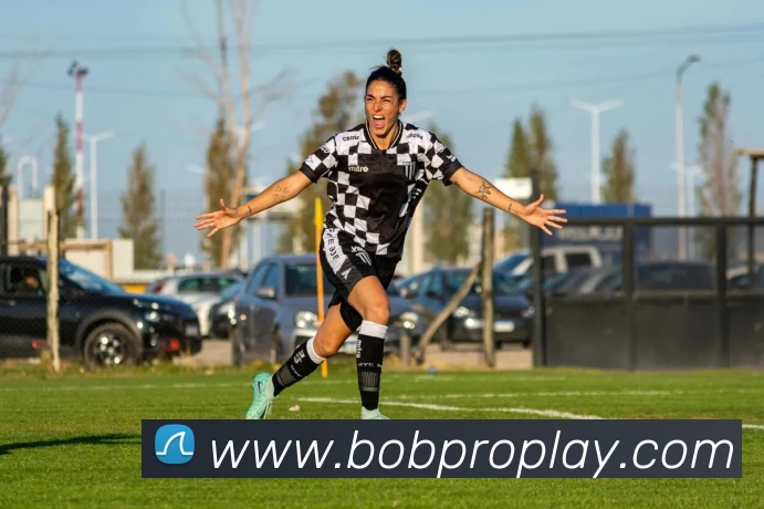 BOB体育平台生态图